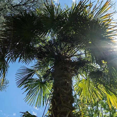 Apartment Flow Winkel Meran