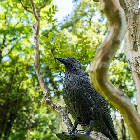 Flow Winkel Apartment