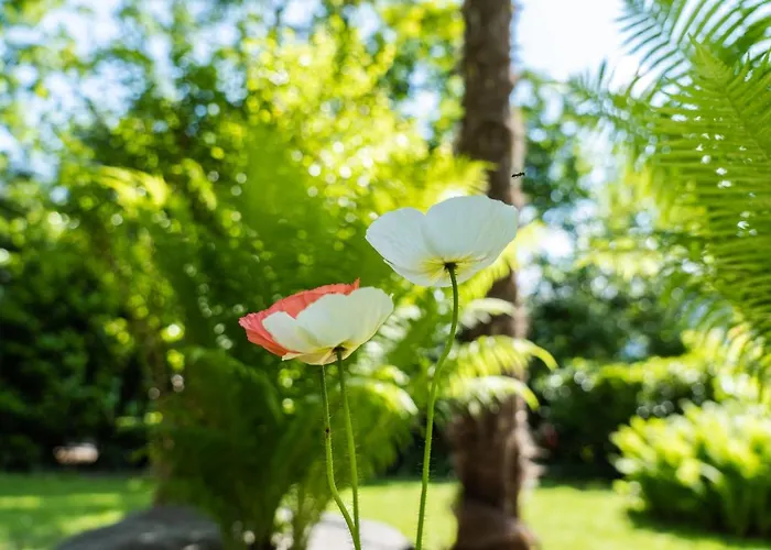 Flow Winkel * Merano