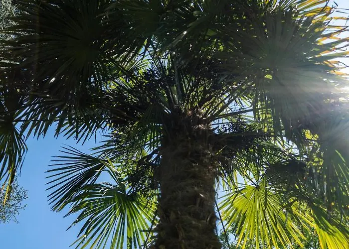 아파트 Flow Winkel 메라노