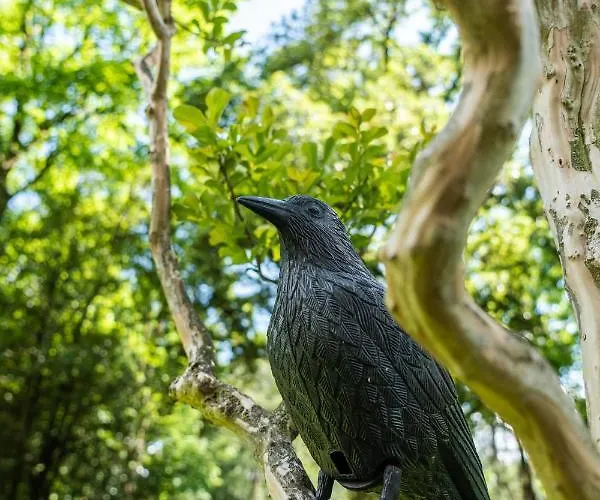 Flow Winkel 아파트