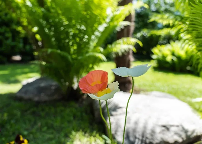 Appartamento Flow Winkel Merano